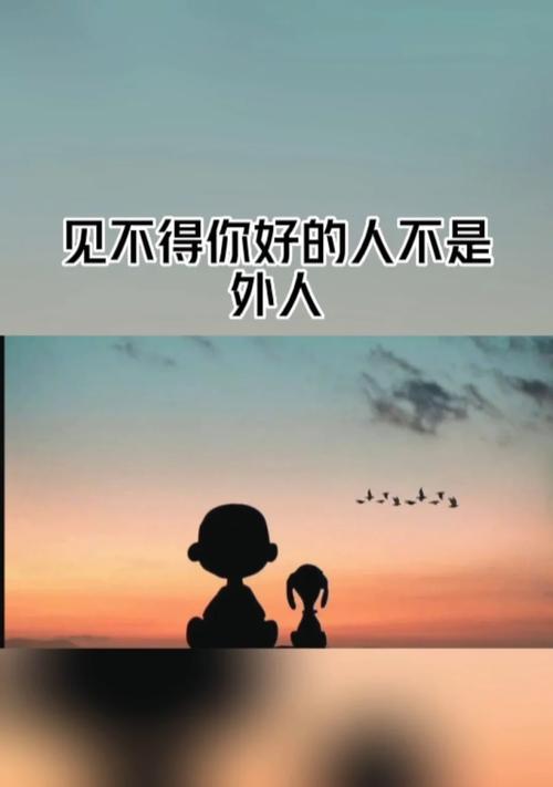 同窗好友（同学之间的情谊，跨越时空的友谊）