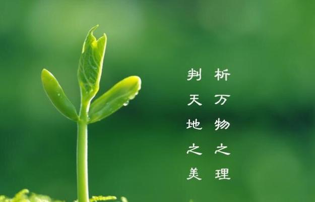 感动于善良的老人，启迪了我前行的力量（感动于善良的老人，启迪了我前行的力量）