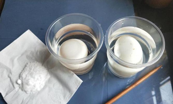 盐水浮蛋实验的奇妙冒险（一位少年的探索历程）
