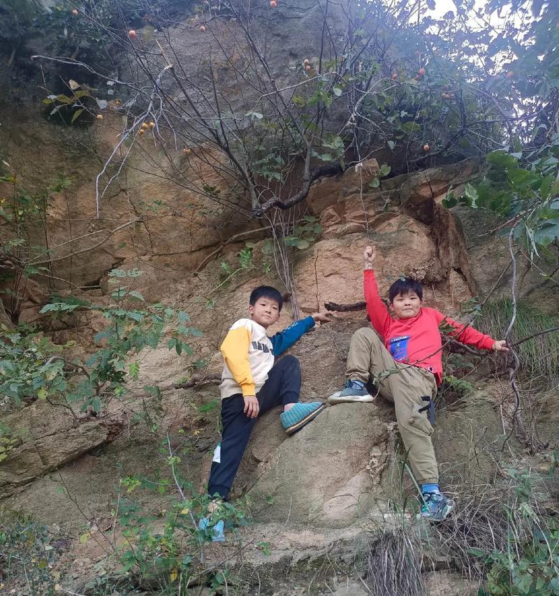 快乐无忧的成长岁月（快乐无忧的成长岁月）