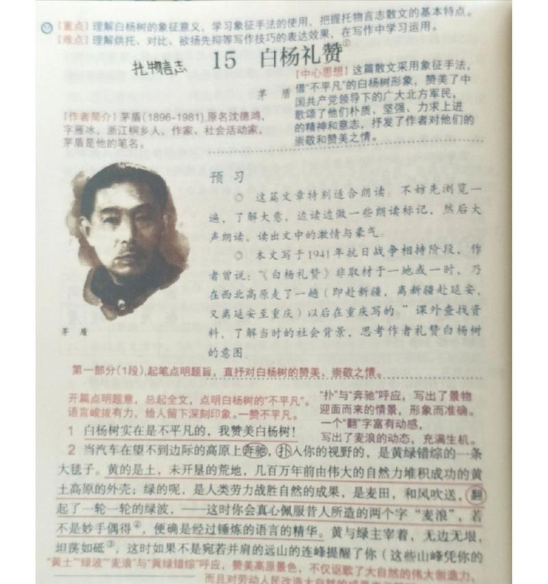 白杨的传承（坚守初心，追逐梦想）