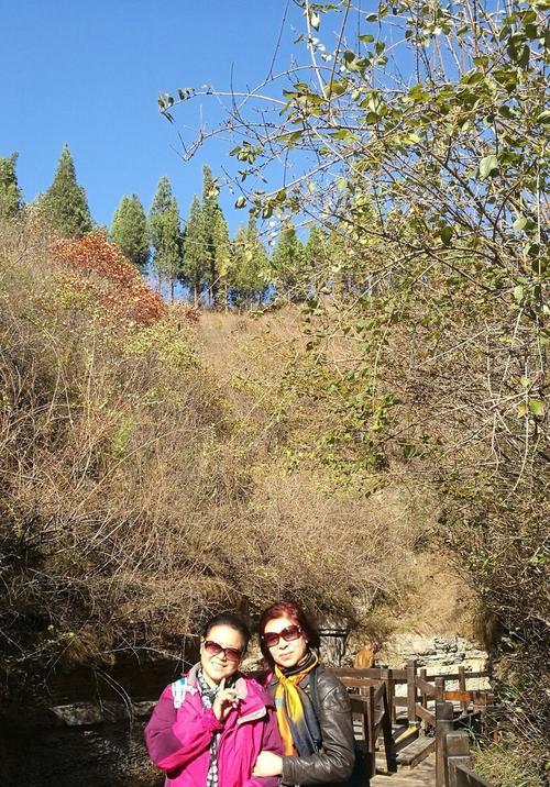 跨越山川的热情（一个普通女孩的奋斗史）