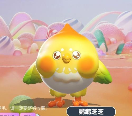 调皮鬼鹦鹉的趣事（小小身躯大大能量，让人又爱又恨）