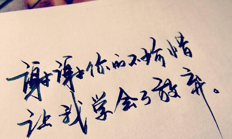 珍惜拥有的幸福（一个受伤的灰鸽子）