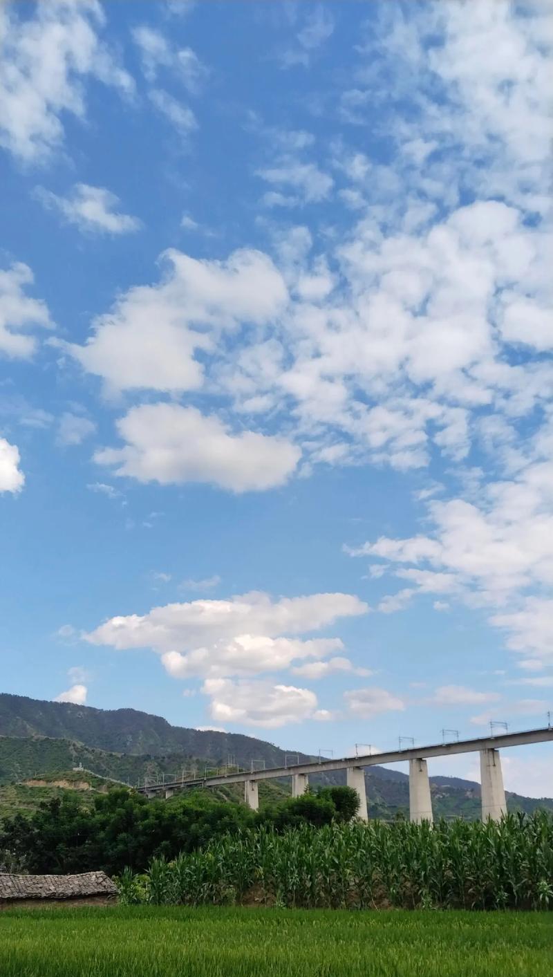 草原上的冒险（一段难忘的经历）