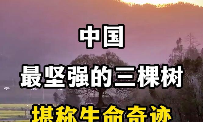 坚强的灵魂（一个女孩的成长故事）