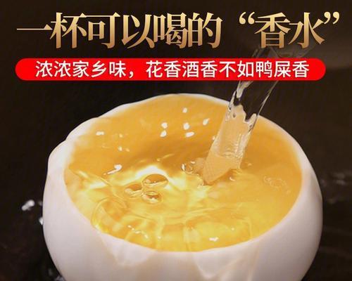追寻爱情的滋味（追寻爱情的滋味）