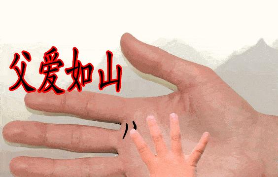 父爱如山——以爸爸的教导为主题（记忆中的教诲）