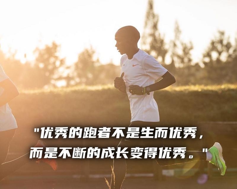 成长之路（用心耕耘，收获丰盈）