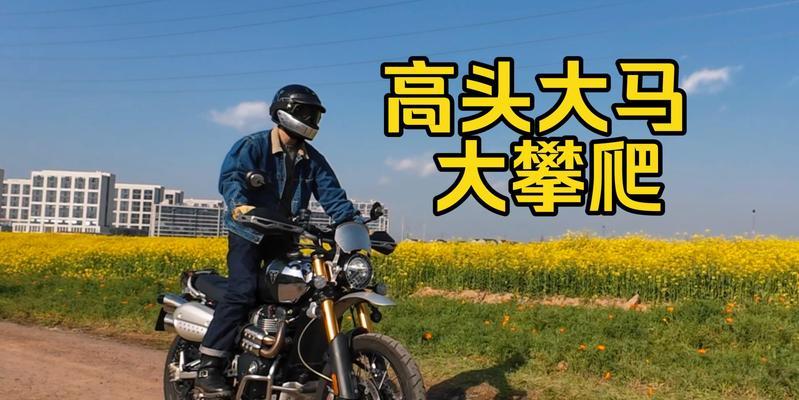 攀爬人生：勇攀高峰，体验人生的风景
