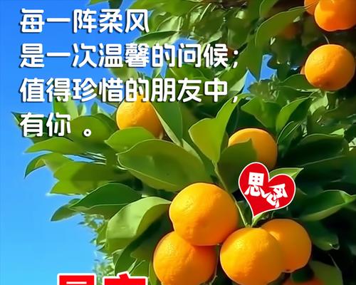 无穷无尽的希望（一个少年的成长之路）
