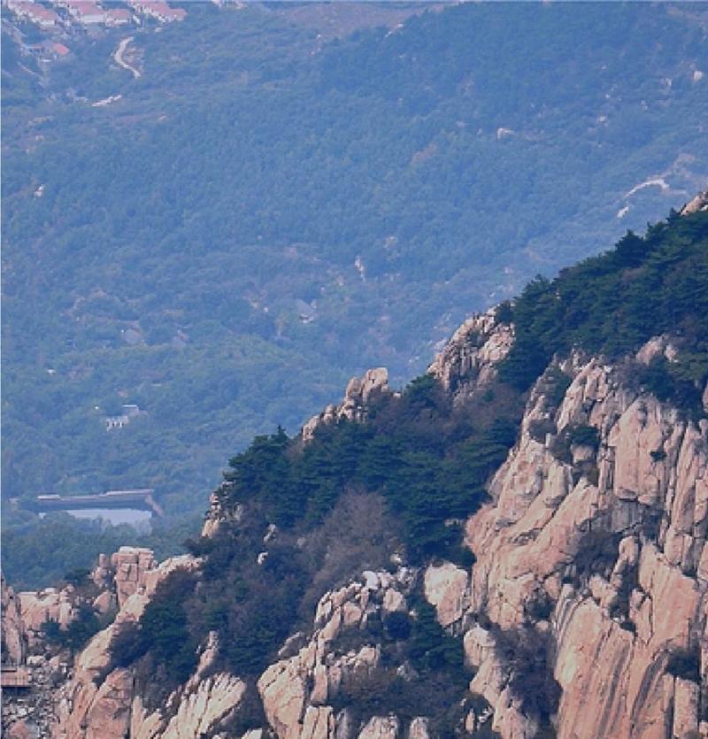 泰山行（步步攀登，寻找心中的答案）