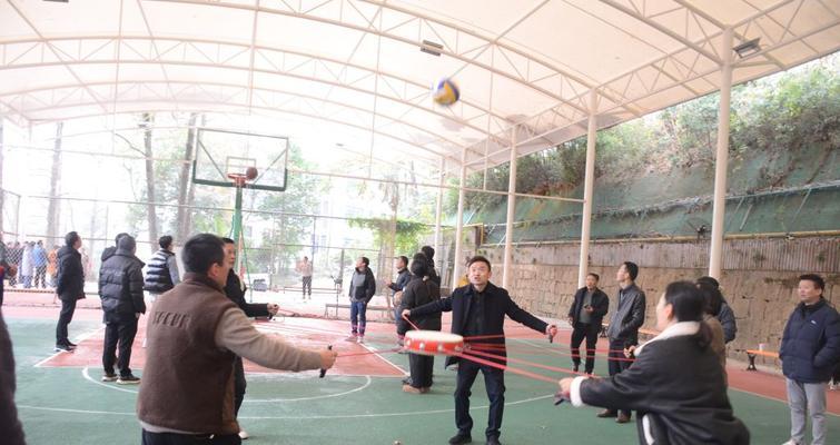 小学生运动会的瞬间（在汗水和欢呼声中成长）