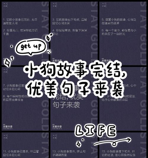我和小狗的故事：我的忠诚伴侣