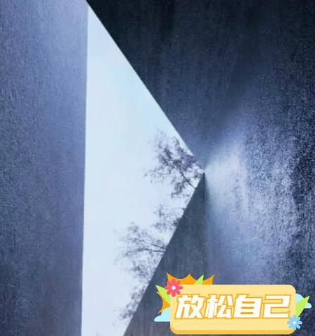 含泪微笑的坚强（一个女孩的生命经历）