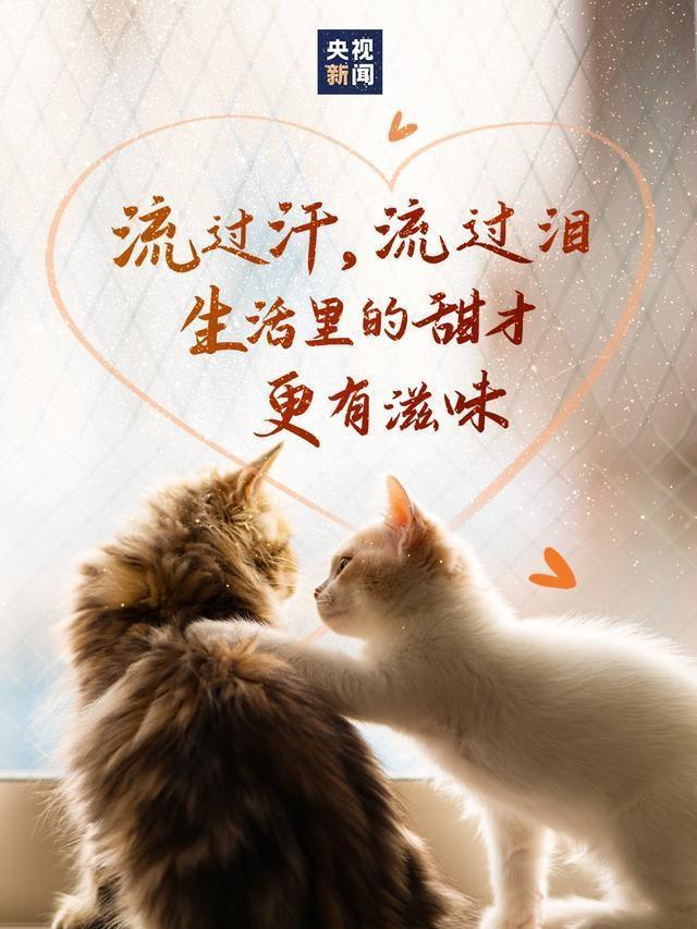 真了不起的冒险家：一个勇敢的探险家的故事