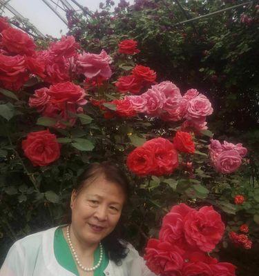 无限乐趣之下的大冒险（充满未知的旅途）