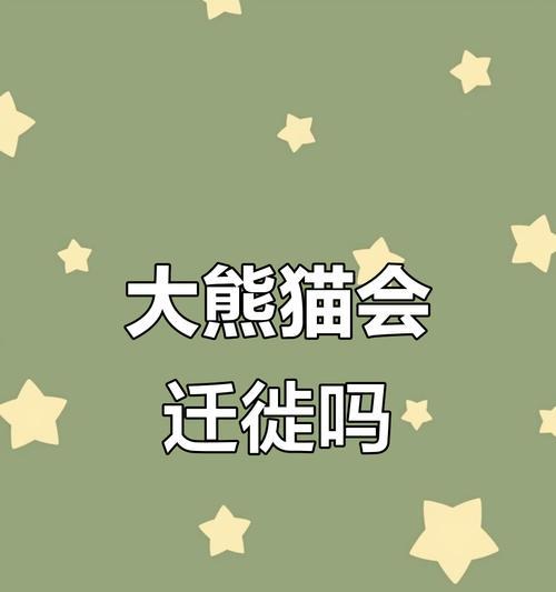 一只熊猫的旅途；（一只熊猫的旅途；）
