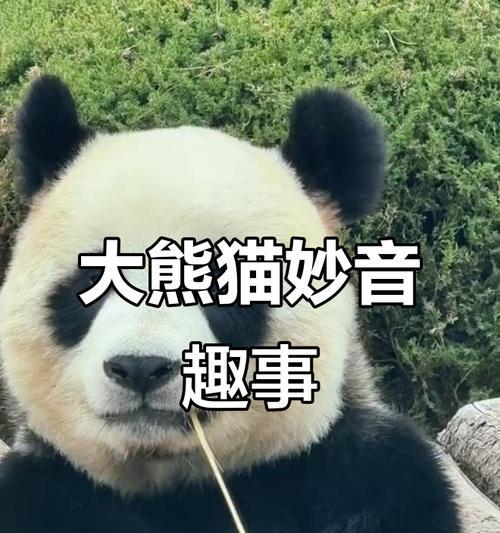 春天的故事——与动物们的趣事