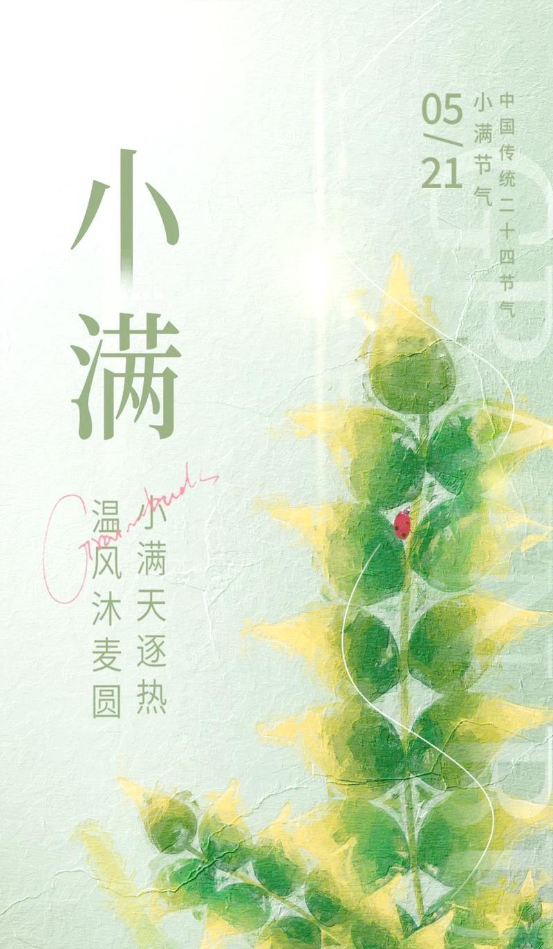 生命因小满而丰盈