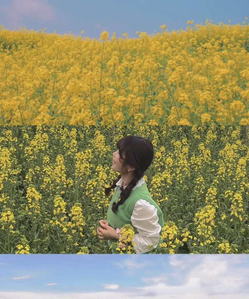 春天的气息（那一季花开，鸟儿啾啾，年少回忆）