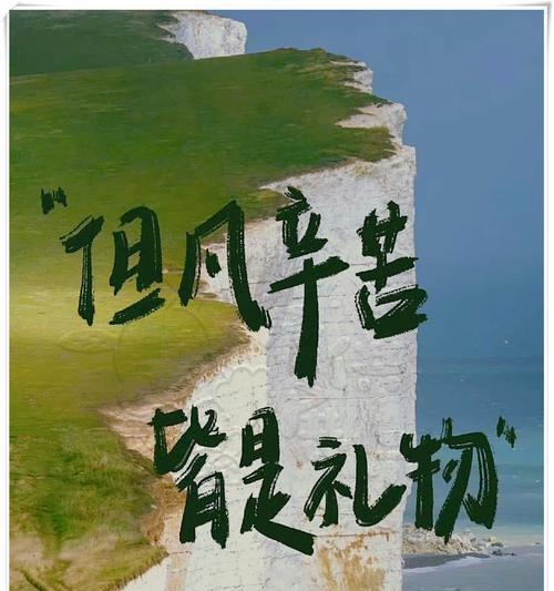 坚持到底，不放弃（一个年轻人的奋斗史）