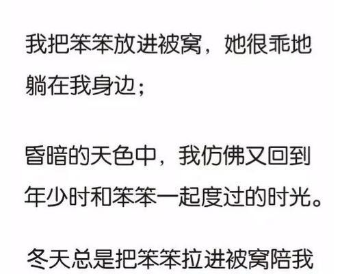 我的陪伴者（情感的角度看待友谊）