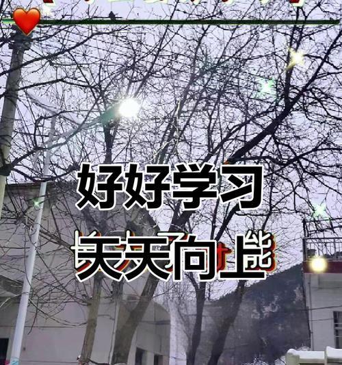 精益求精的坚持（只有努力才能让梦想成为现实）