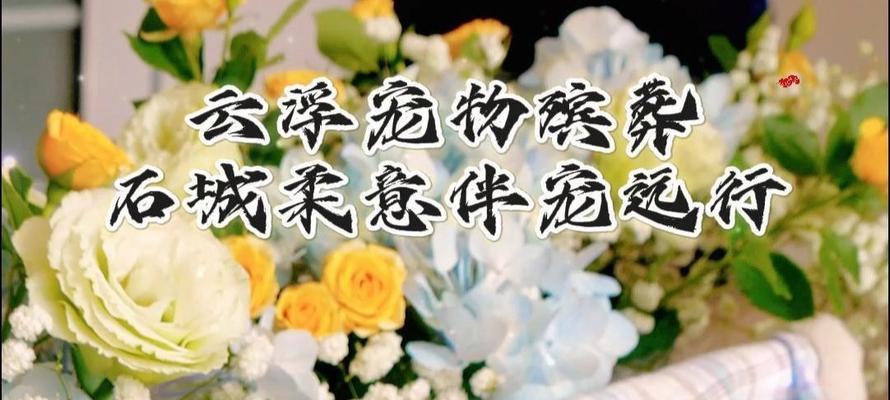 倾听的力量（倾听的力量）
