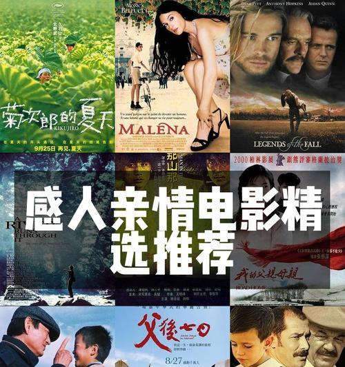 亲情的温暖（亲情的温暖）