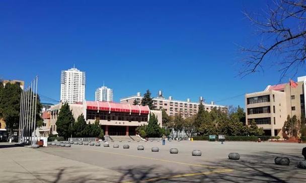 校园的寂静与冷清