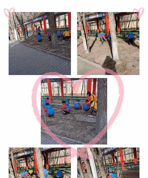 播撒种子的人（一粒种子，一份耕耘，一份收获）
