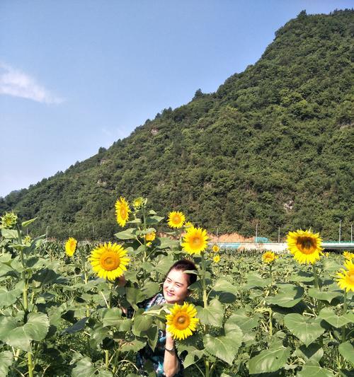踏着喜悦的步伐（用喜悦之心创造美好生活）