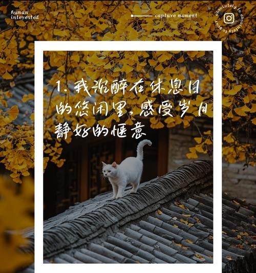 平淡生活中的诗意（一个小镇的故事）