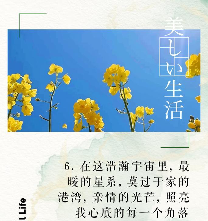 父母的爱，是我坚强的后盾（亲情源源不断，让我无惧风雨）