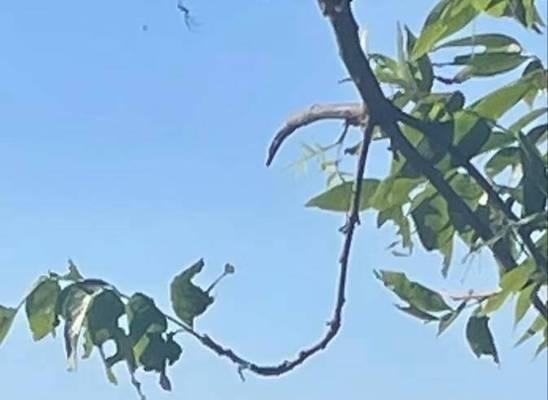 梦想从行动开始（梦想从行动开始）