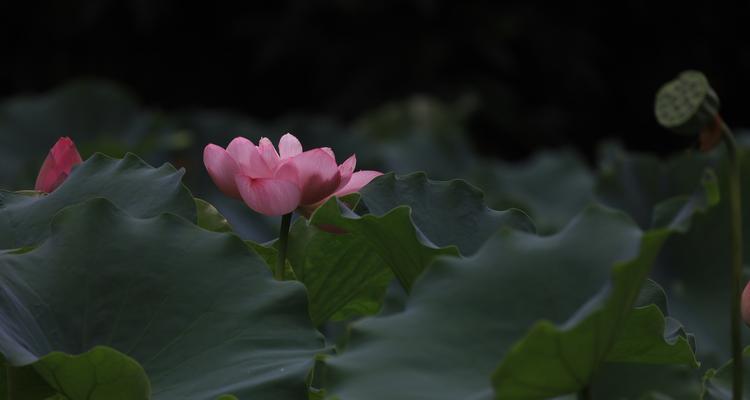 美好时光（两个人的故事）