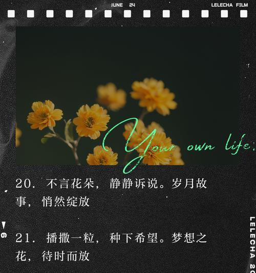 以静待梦想之花绽放（以静待梦想之花绽放）