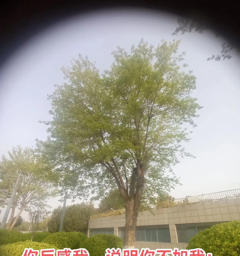 自信从心开始（一个自信的小故事）