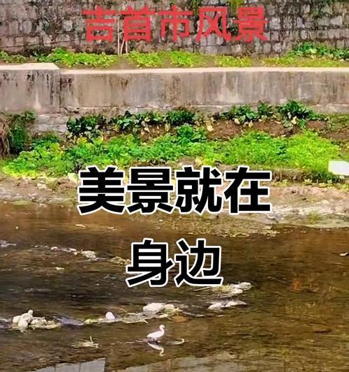身边风景美如画（发现城市之美）