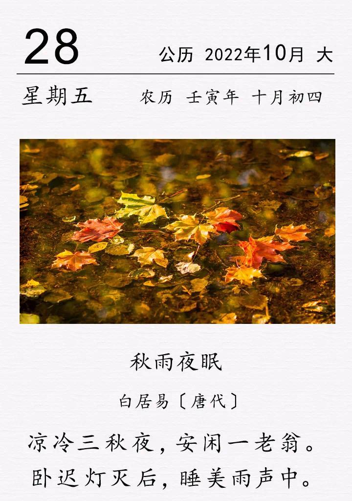 秋日的气息