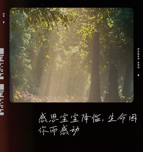 一份感恩的礼物（快乐源于感恩）