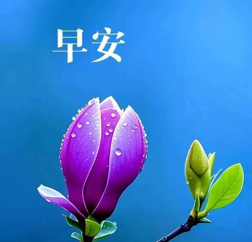 用阳光照亮你的人生（用阳光照亮你的人生）