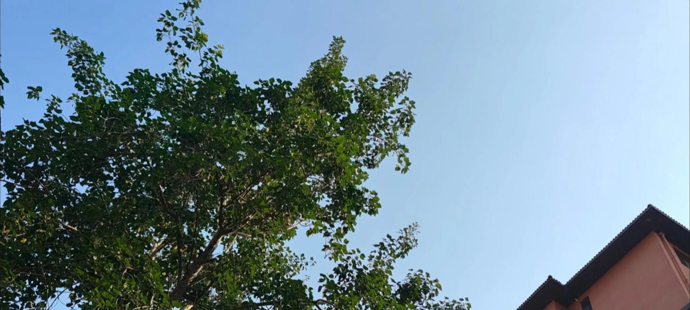 沾沾自喜的代价（一个以自我为中心的聪明人）