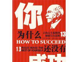 成功的巅峰：从平凡走向辉煌的故事