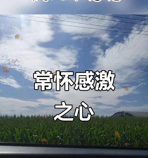 感恩是人生美德——一个小女孩的故事（从感恩中成长，从成长中收获幸福）